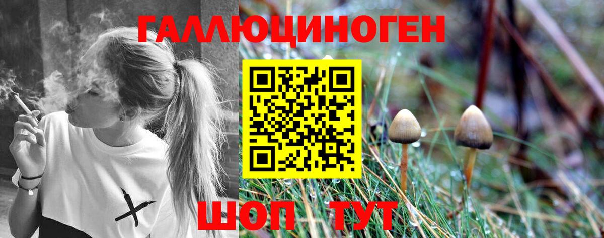 даркнет сайт  Галлюциногенные грибы MAGIC MUSHROOMS  Бугуруслан  Вход с VPN  Галлюциногенные грибы Cubensis 